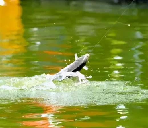 Fishing techniques The effect of water temperature on fishing